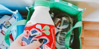 Veneto primo nella raccolta dei rifiuti. Il dossier di Legambiente