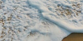 Venice Sands, la promozione delle località balneari in Veneto