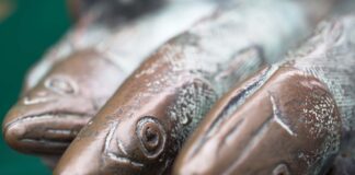 Festa dea Renga 2023 a Concordia Sagittaria Festa dea renga a Concordia Sagittaria