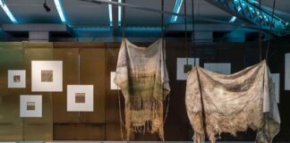 Ăquae Naturografie. A Venezia la mostra ‘a quattro mani’ con la natura