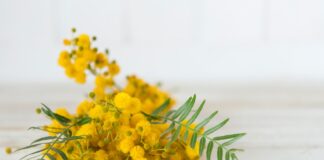 Di disparità e sperequazione… Buona ‘festa’ della donna