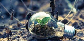 Auto elettriche, Bottacin ‘Il 2035 è domani’ Stardust on the road 2023, Lignano, Gen Z, sostenibilità, ambiente