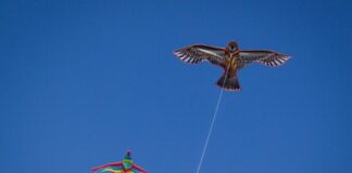 Jesolo beach and kite festival, l’aquilonata più grande d’Italia