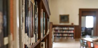 Università venete tra le migliori al mondo: offerte diversificate ed insegnanti d’eccellenza