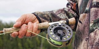 Nuovo Piano di azione locale: 3 mln di euro per pesca e acquacoltura Piano di azione locale, pesca, acquacoltura, Flag Veneziano