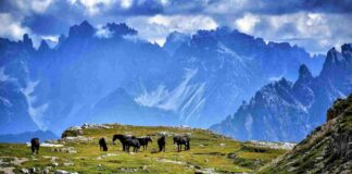 Promuovere il territorio Veneto? Ci pensano i creators