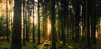 Sammy Basso è il nuovo testimonial della campagna per i parchi del Veneto