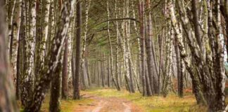 Nuovo cofanetto con 40 sentieri mappati: alla scoperta dei Patrimoni UNESCO del Veneto