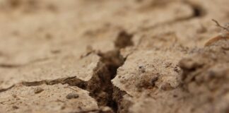 Allarme siccità : sinergia tra Veneto e Trentino per affrontare l’emergenza