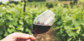 Vino: Veneto leader in Italia per export con 2,8 miliardi di euro Un calice di vino rosso