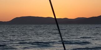 FEAMPA 2021-2027. Al via i primi bandi regionali a sostegno della pesca pesca - feampa veneto -bando regionale