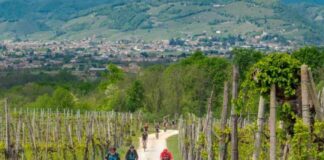 Nova Eroica Prosecco Hills: in sella alle nostri bici tra le Colline del Prosecco