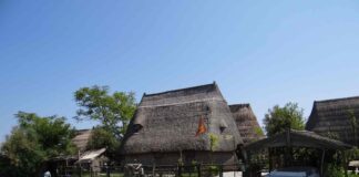 Nuovo concorso grafico: un logo per il Contratto di Area Umida del Sistema della Laguna di Caorle