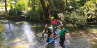 Fauna ittica e corpi idrici, il monitoraggio di Arpa Veneto