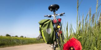 Veneto in bicicletta: strategia regionale e bike experience Una bicicletta