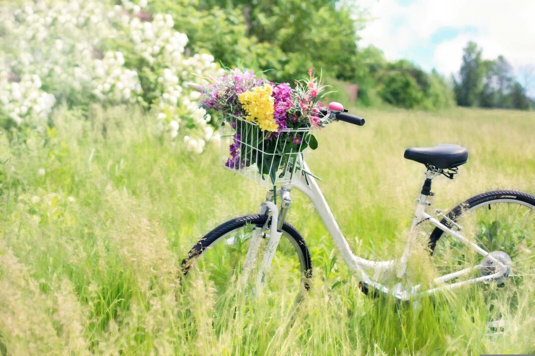 Una bicicletta in un prato fiorito