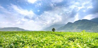 Movimento per la Decrescita Felice: i due incontri a Portogruaro per venerdì 19 maggio