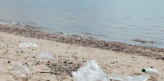 Puliamo insieme la spiaggia della Brussa Rifiuti plastici sulla spiaggia