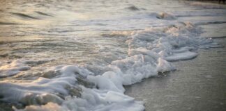 I dati dell’Arpav per prepararsi alla stagione balneare. Come sono le acque del nostro territorio?