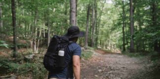 Nuova gita con Alberiamoci, alla scoperta della natura del sito UNESCO Palù di Livenza