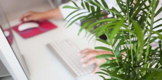 Concorso Asl per centralinisti e portieri: basta la licenza media, domande entro il 13 luglio Una persona al computer