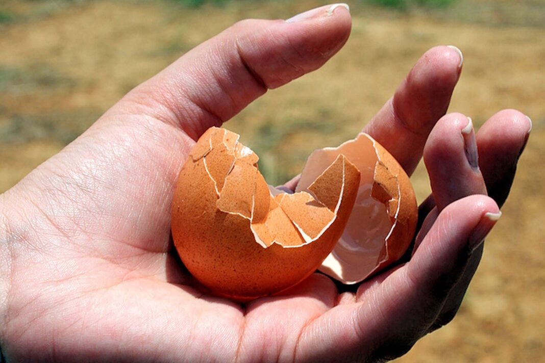 Una mano stringe un uovo rotto