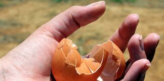 A Venezia il Festival degli Empori della Solidarietà del Veneto Una mano stringe un uovo rotto