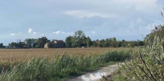 Cambiamento climatico: a Caorle l’invaso di Veneto Agricoltura per raccogliere l’acqua in eccesso Vallevecchia, Caorle, sicurezza