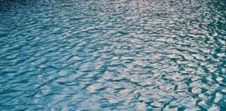 Parte da Piave e Livenza l’operazione fiumi di Legambiente Operazione fiumi di legambiente