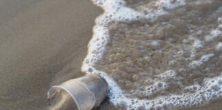 Rifiuti galleggianti: installato un sistema per intercettarli Un bicchiere di plastica