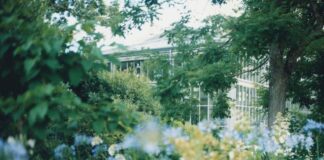 Venezia restaura i Giardini Reali: il capoluogo ottiene l’European Heritage Awards