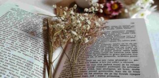 Lignano Pineta: il folklore friulano tra arte e letteratura Libro, Portogruaro, Giovanna Simonetti, Talenti Letterari