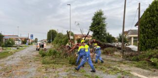 Il maltempo si abbatte sul Veneto orientale