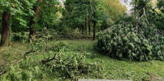 Comune di Portogruaro: invito a comunicare i danni del maltempo Comune di Portogruaro, comunicazione danni, maltempo