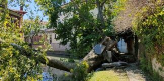 Portogruaro, al via le operazioni di ripristino dei parchi comunali dopo il maltempo