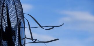 Colpo di calore. Come proteggersi, i sintomi e cosa fare