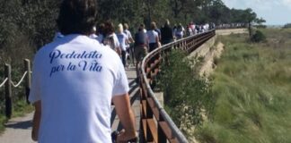 A Bibione è in arrivo una Pedalata per la Vita Pedalata per la Vita, Bibione, beneficenza, solidarietà