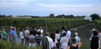 Cinema e sapori autentici con ‘Cinema in Cantina’ a Caorle Cinema in Cantina, Caorle, degustazione, film