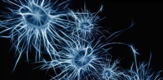 Neurologia Portogruaro: (H) Open Day per la sclerosi multipla Metodo Feldenkrais, neuroni, paralisi cerebrale, sclerosi multipla, Portogruaro