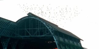 ‘L’ex Perfosfati di Portogruaro’ di Mattia Scavo: un libro, una storia L'ex Perfosfati di Portogruaro, libro, storia, perfosfati, capannone