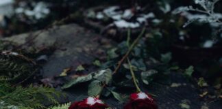 Luigi Giardini: è scomparso un ‘luminare dell’Agronomia’ Luigi Giardini, scomparso, Agronomia