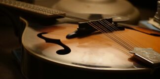 L’Orchestra a Plettro Sanvitese nel prestigioso palco di Cremona Un mandolino