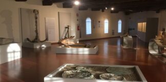 Alla scoperta del Museo di Archeologia del Mare di Caorle Museo Nazionale di Archeologia del Mare, Caorle, visita, reperti