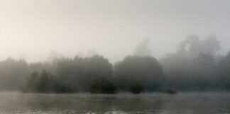 Allerta meteo sul Veneto orientale. Rischio idrogeologico per Livenza, Lemene e Tagliamento veneziaorientale@news maltempo allerta meteo fiume mare acqua criticità idrogeologica