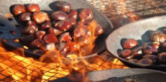 Ultimo weekend di Castagnata a Summaga: dal 20 al 22 ottobre Castagnata, festa d'autunno, Summaga di Portogruaro, castagne