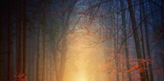 A Caorle continua il mistero con il libro di Paola Pozzolo Caorle, CaorlèMistero, presentazione libro, mistero, suspense, Cena con delitto