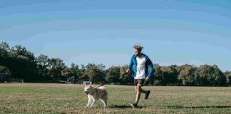 Corri con ME a Portogruaro: famiglie e amici a quattro zampe Corri con ME, Portogruaro, camminata, cani, amici a quattro zampe