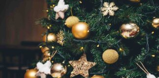 A San Giorgio di Livenza arriva la magia del Natale San Giorgio di Livenza, Natale, albero, accensione albero