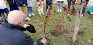 AlberiAmo Portogruaro: l’albero, un amico in comune AlberiAmo, educazione ambientale, Portogruaro, alberi