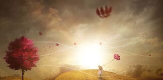 Ritorna la rassegna botanico-narrativa Fotosintesi Letterarie Illustrazione con un grande libro in un prato